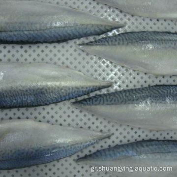 Κατεψυγμένο Scomber Japonicus Pacific Mackerel Fillets Τιμή